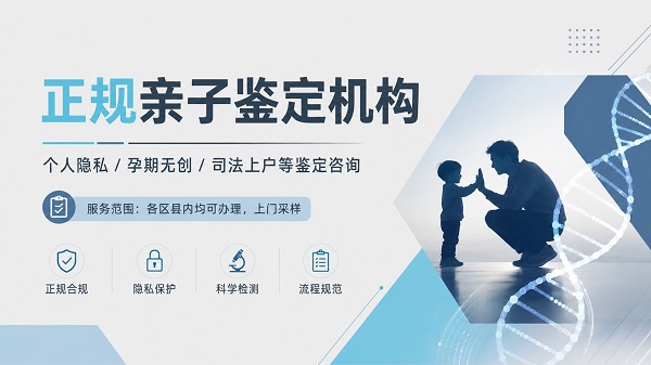 隐私亲子鉴定和司法亲子鉴定，报告格式有什么不同