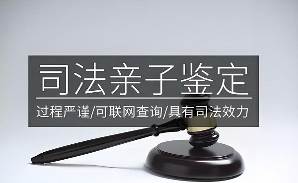亲子鉴定的法律效力有多久？几年后还能用来打官司吗