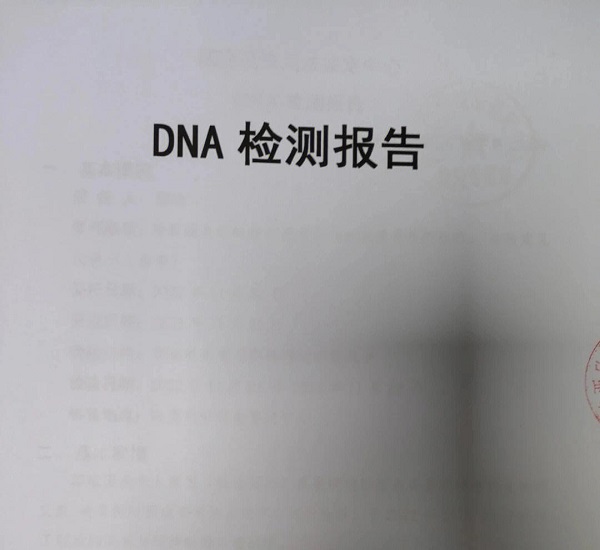 亲子鉴定多久出结果?7天和3天差距在哪里