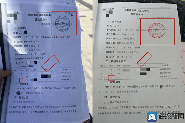 亲子鉴定报告里的PI值是什么?报告数据到底怎么看?一文讲透