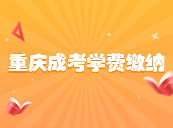 重庆超人高考提升学历费用一次性还是分开交？